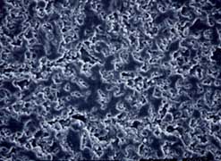 normal-on-ym99c