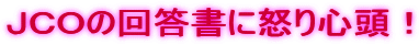 ibn̉񓚏ɓ{SI