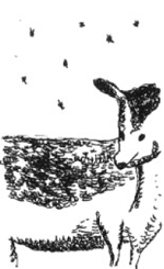 評論挿絵イラスト