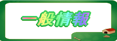 Cxg񍐁I