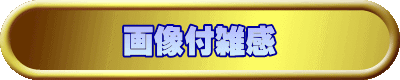 画像付雑感