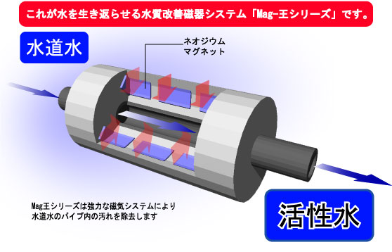 Mag}