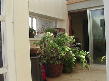 k_019.jpg