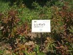 Ys@x^Cv