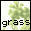 grassoi[