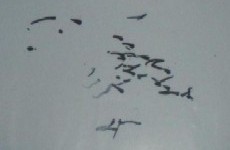 写真:1歳ごろの絵の例
