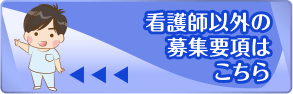 看護師以外の募集要項はこちら