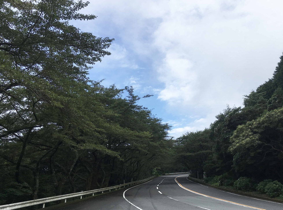 ターンパイク