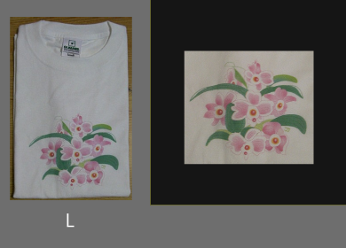 orchid B