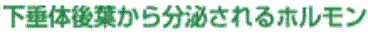 ̌t番傳z