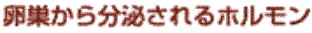 番傳z