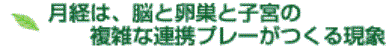 óA]ƗƎq{̕GȘAgv[錻