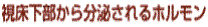 番傳z
