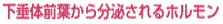 ̑Ot番傳z
