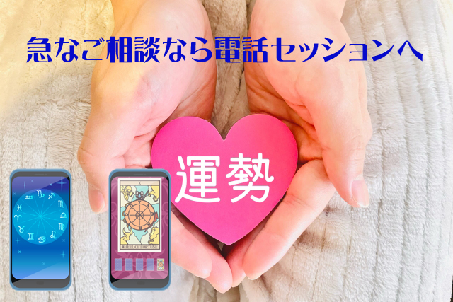 電話セッション