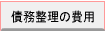 �������̔�p