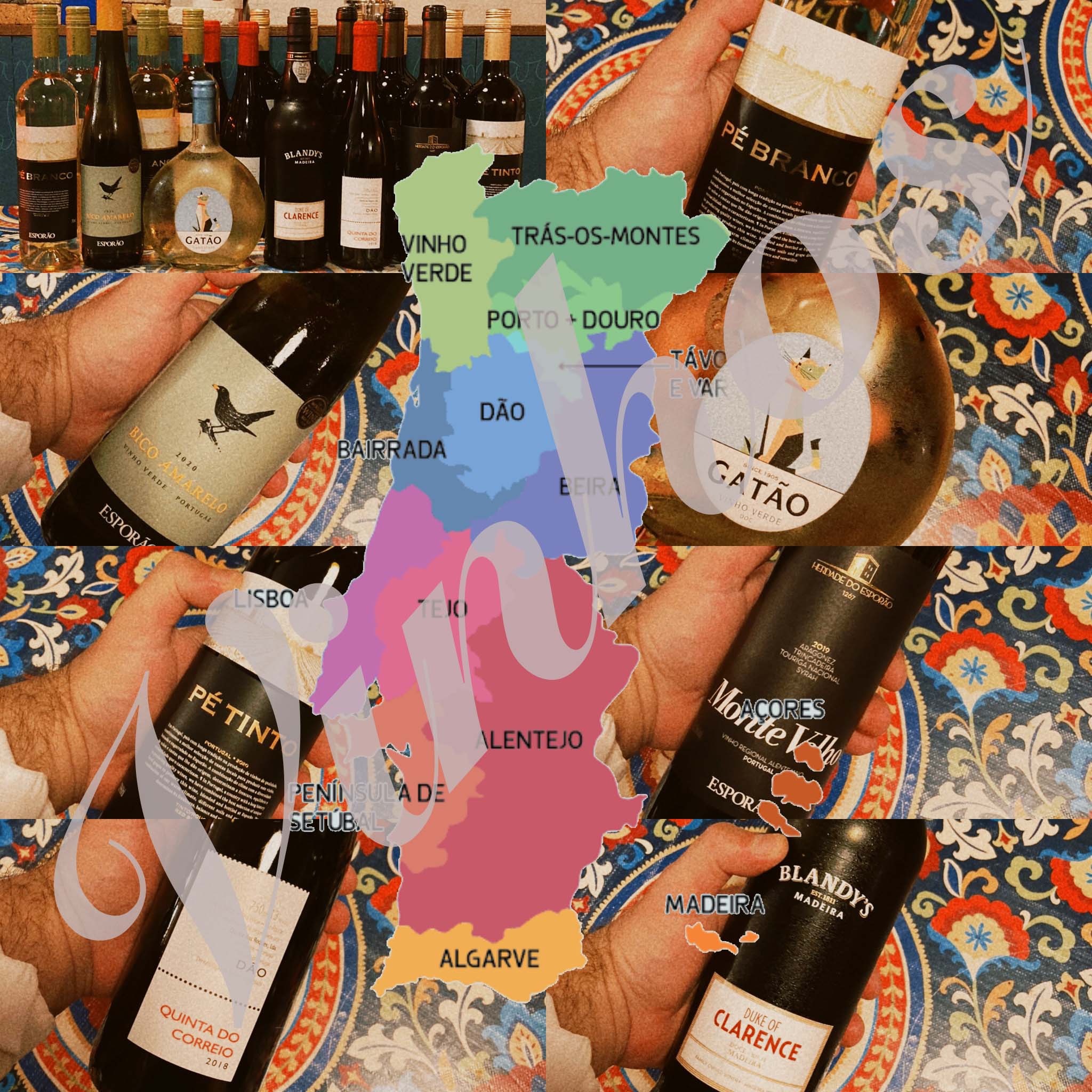 Vivario Wines